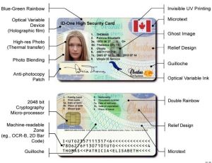 ID Cards