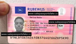 Dutch Drivers License